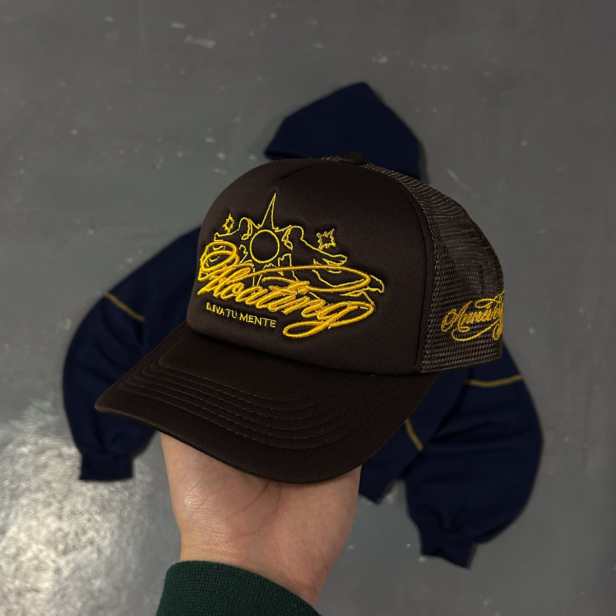Icarus Trucker Hat